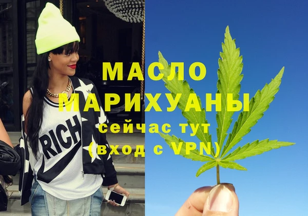 тгк Дмитриев