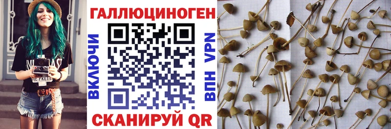 Галлюциногенные грибы ЛСД  Наволоки 